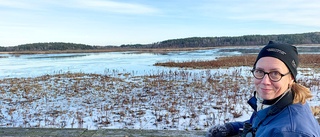 För långt till återvinningen? Avfall dumpades i naturreservat