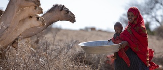 Miljoner hotas av svält på Afrikas horn