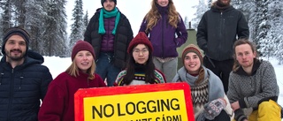 Aktivister stoppade plogbilar: "Egentligen är det inte plogbilsföraren vi vill stoppa – det är skogsskördarna" 