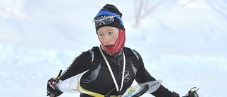 Walheim segrade i skidorientering