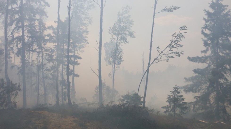 Räddningstjänsten får nu tillbaka halva kostnaden för skogsbranden i Lönneberga i somras. Totalt kostade den drygt en miljon att släcka.