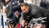 Förre AIK-tränaren fick sparken från Piteå Hockey – nu får han landslagsuppdrag: "Verkligen inspirerande"
