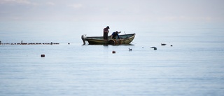 Inrätta zoner för småskaligt fiske i kustnära vatten