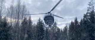 Räddningen för hotad fågel – 160 ton grus • Se film från helikopterinsatsen: "Ingen vanlig dag på jobbet"