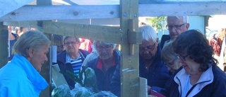 Folkfest i Lövångers Kyrkstad