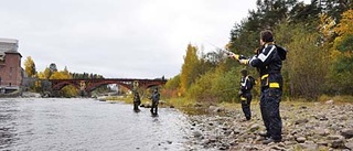 Trög start för havsöringfisket