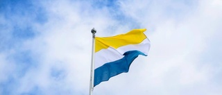 Tornedalsflaggan ska vaja för EU-höjdarna