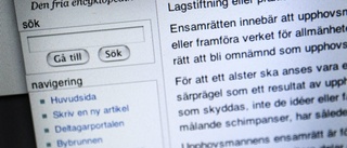 Företag anmäler fejksida som upphovsrättsbrott 