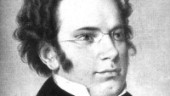 Initierad bild av Schubert