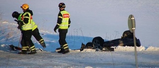 Fem personer i trafikolycka