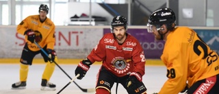 Debut för Luleå Hockeys stjärna – här är hans kedja