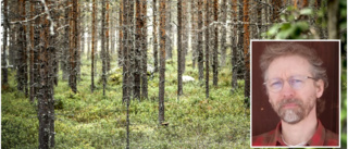 Kommunen: "Vi bedriver redan ett hållbart skogsbruk"