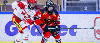 Bildspel: Allt från Luleå Hockey/MSSK:s seger