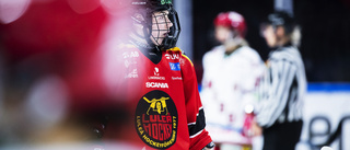 Utbrott i Luleå Hockeys andralag oroar – inför de olympiska spelen: "Vi måste vara försiktiga – så att ingen blir sjuk"