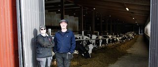Mjölkbonden: "Vi har alla förutsättningar här"
