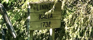 Rusta upp Linnés källa!          