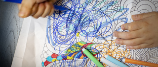 Södermanlands skolor behöver öka kompetensen om autism