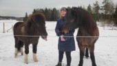 Utbrott av hästcorona på Selaön: "Kan gå riktigt illa"