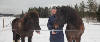 Utbrott av hästcorona på Selaön: "Kan gå riktigt illa"