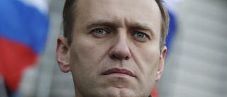 Navalnyj gripen vid hemkomst i Moskva