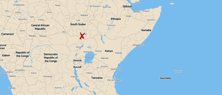 Flera döda i flygolycka i Sydsudan