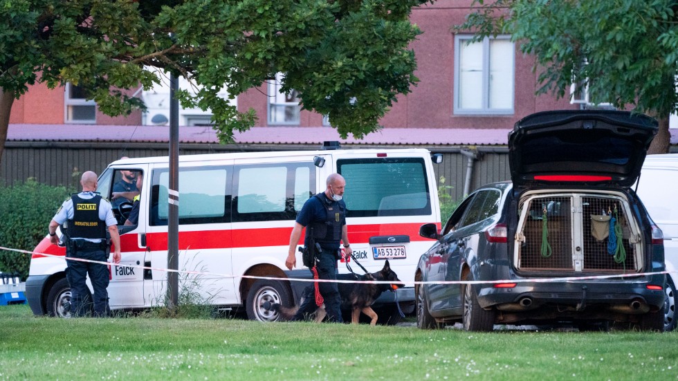 Här undersöker polisen mordplatsen i Köpenhamnsförorten Herlev i juni 2019. Här dog två unga kriminella från ett gäng i Sverige. Fem unga kriminella från ett annat gäng i Sverige har suttit häktade i drygt ett år. 