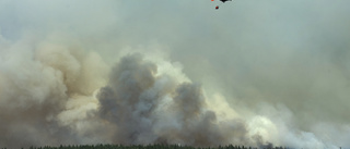 Gemensamma insatser kan stoppa gränslösa skogsbränder