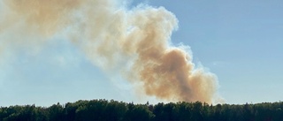 Blixtnedslag orsakade skogsbrand utanför Mörlunda 