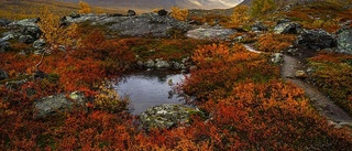 Vinnarbilder togs i Norrbottens natur