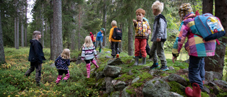 Mulle lär barnen att respektera skogen