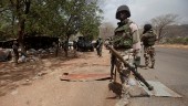 Två dödades av Boko Haram i Nigeria