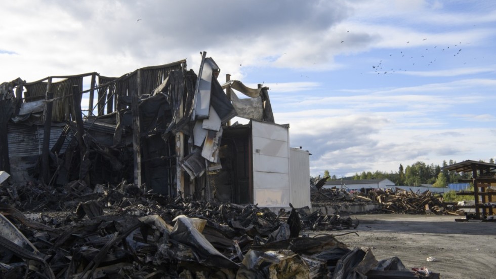 Fåglar kretsar över Polarbröds fabrik i Älvsbyn, en dryg vecka efter branden.