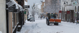 Vintern har landat i Västervik – så länge stannar den