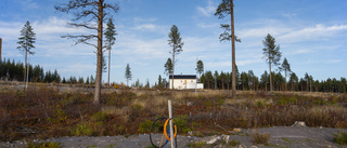 De första nybyggarna på Dalbo i Luleå: "Lilla huset på prärien"