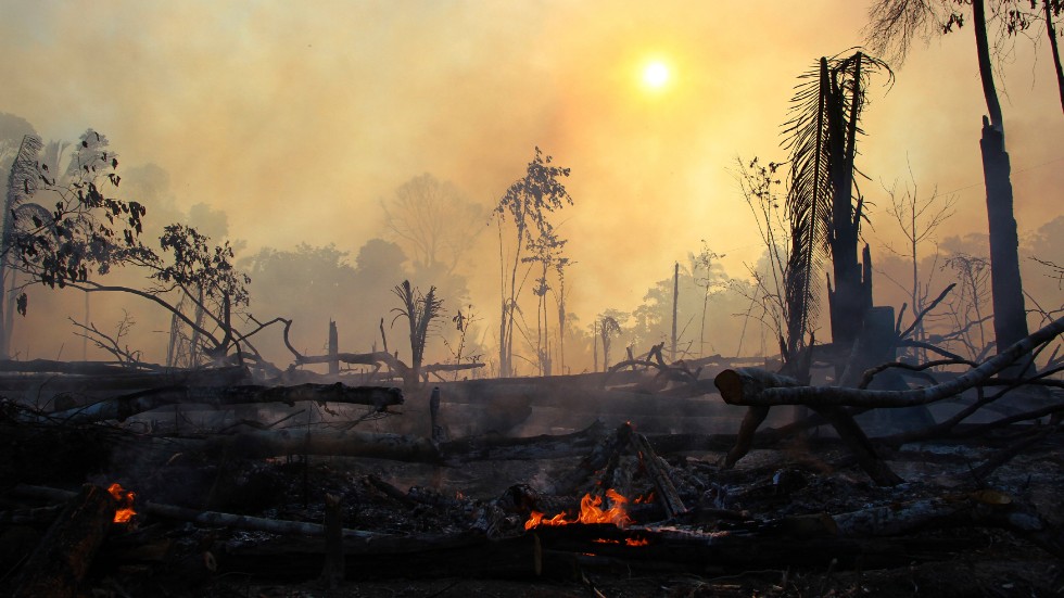 I år har bränderna i Amazonas varit de mest omfattande på minst ett decennium. Bild från Brasilien i augusti.