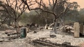 Jättebranden slukar vingårdar i Napa Valley