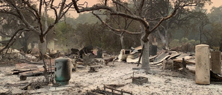 Jättebranden slukar vingårdar i Napa Valley