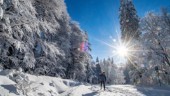 Så blir vintervädret i helgen – stora solchanser