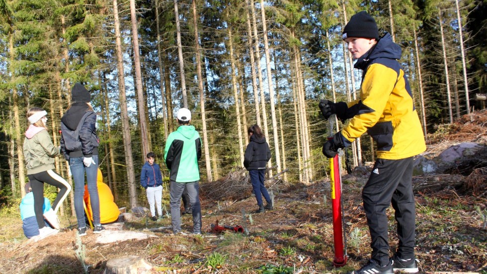 Ville Krantz och hans klasskompisar planterar framtidens skog.