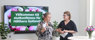 Hållbara Gotland: 100 miljoner senare