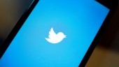Amnesty: Twitter borde skydda kvinnor bättre
