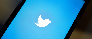 Amnesty: Twitter borde skydda kvinnor bättre