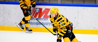 Senaste nytt inför HV71: Vändningen kring AIK-backen – kan komma till spel