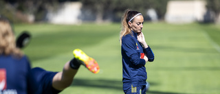 Asllani om ryktena: "Konkreta förslag"