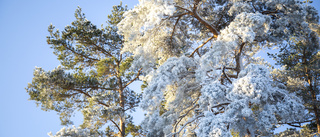 Väder: Mulet och mer snö – men lite sol här och där