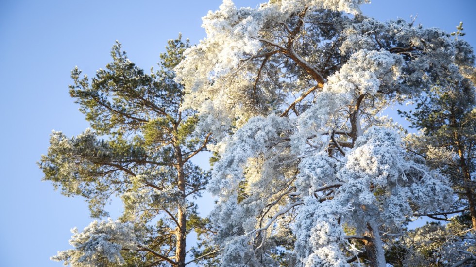 Vintern har kommit till hela Västerviks kommun, både med kyla och snö.