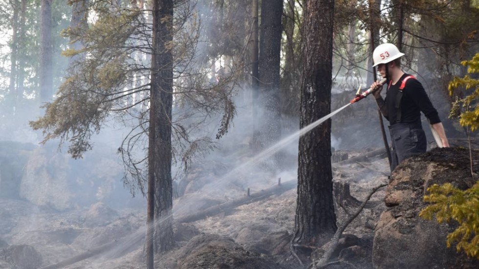 Räddningsstyrkorna kunde snabbt få kontroll på skogsbranden, för att sedan gå över till eftersläckningsarbetet.
