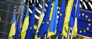 Ge Ukraina ett snabbspår till EU