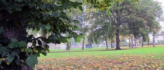 Våga ändra åsikt om Brunnsparken