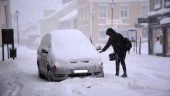 SMHI varnar för snöfall – "kan bli stökigt"